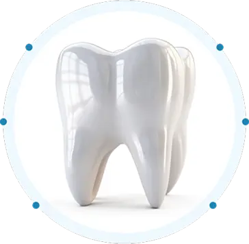 Circular teeth for why choose